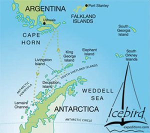 icebird expeditions